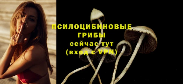 мет Горняк