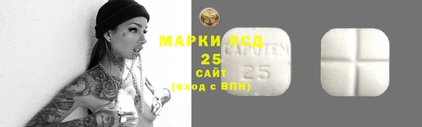 дмт Горнозаводск