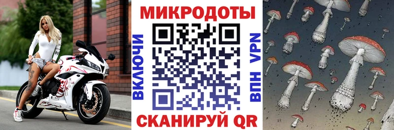 Псилоцибиновые грибы Cubensis  Купить  Приморско-Ахтарск 